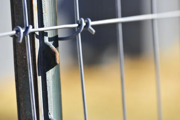 Boskap staket — Stockfoto