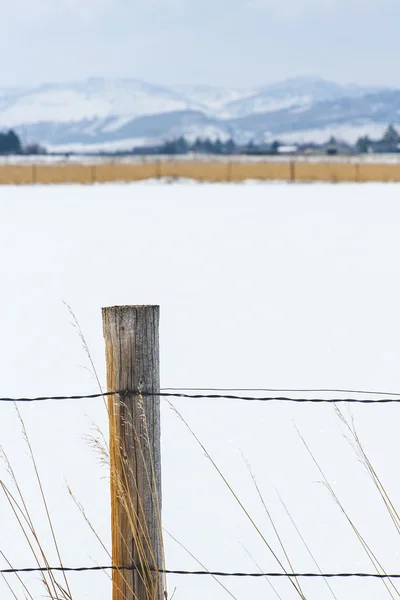Doğal ülke Winterscape