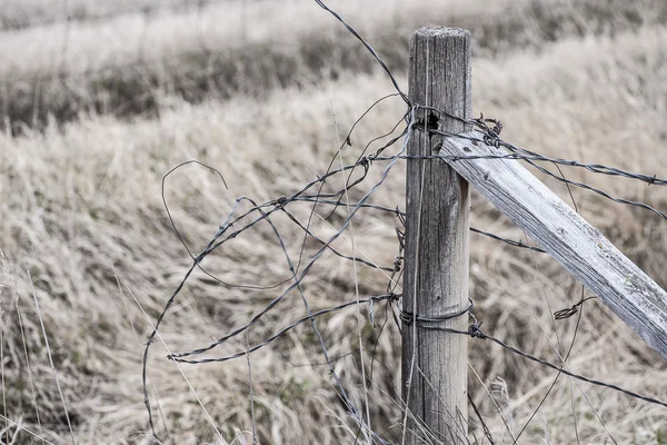 Verwarde prikkeldraad hek — Stockfoto