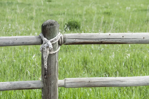 Rustikt trä inlägg — Stockfoto