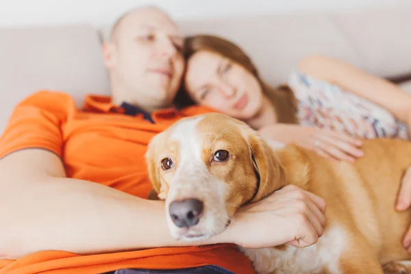Couple with a dog — Stock Photo, Image