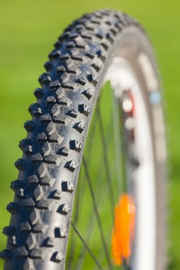 bisiklet tekerleği portre