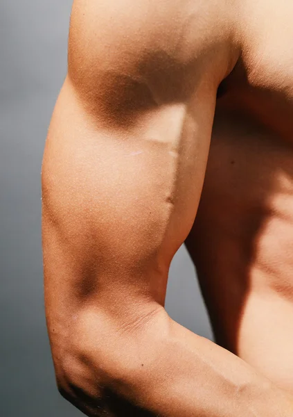 Músculos tensos bíceps Imágenes de stock libres de derechos