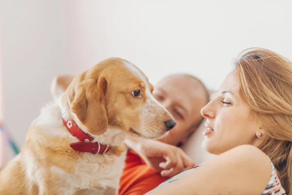 Nursing a dog — Stock Photo, Image