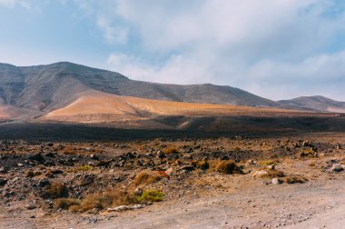 Kanarya Adaları, İspanya 