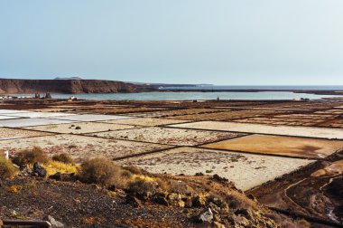 Lanzarote Salines 