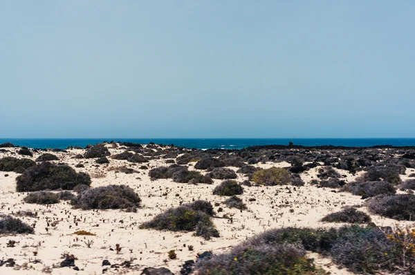 Bílý písek pláže Playa — Stock fotografie