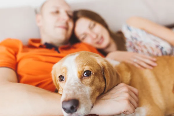 Couple with a dog — Stock Photo, Image