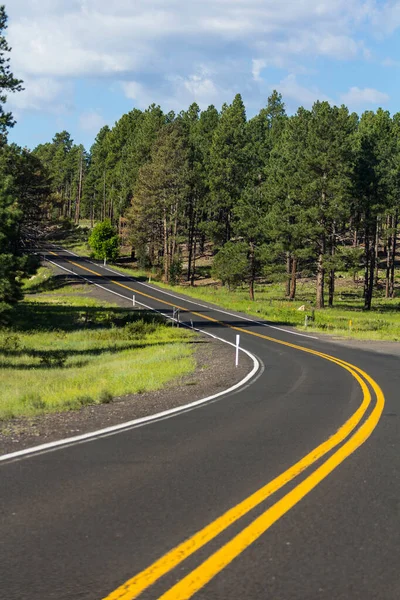 Empty curved road shinning in sun light through the forest