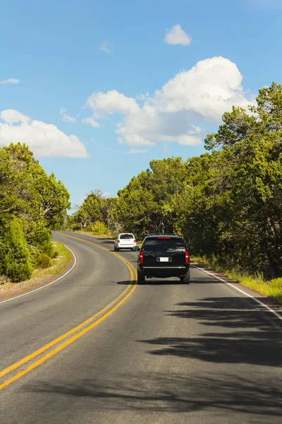 Back Photo Cars Driving Sunny Road — Stock Photo, Image