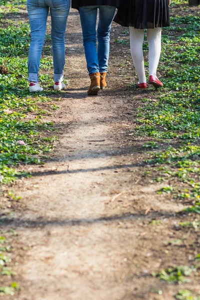 여자의 — 스톡 사진