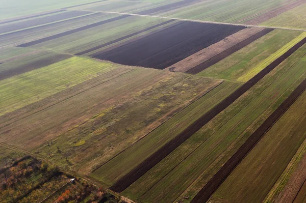 Yukarıda da görüleceği çim — Stok fotoğraf