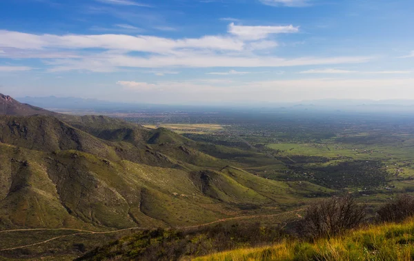 Sonoran çöl dağlar — Stok fotoğraf