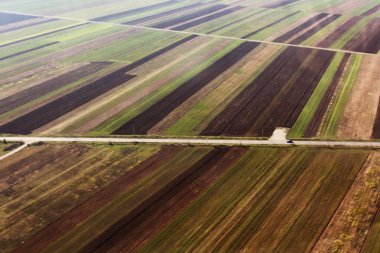 Yukarıda da görüleceği yol