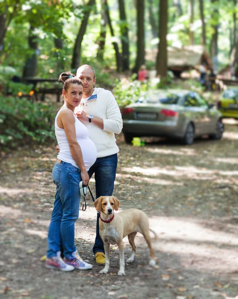 Husband and pregnant wife together with their dog — Stock Photo, Image