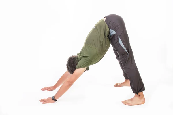 Dog yoga pose — Stock Photo, Image