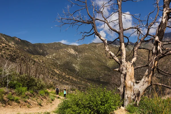 Hikers on a mountain trail — Stock Photo, Image