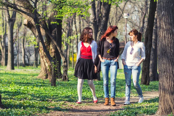 Üç kadın parkta yürüyüş — Stok fotoğraf