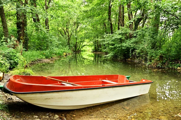 Старая Рыбацкая Лодка Небольшом Ручье Густым Лесом — стоковое фото