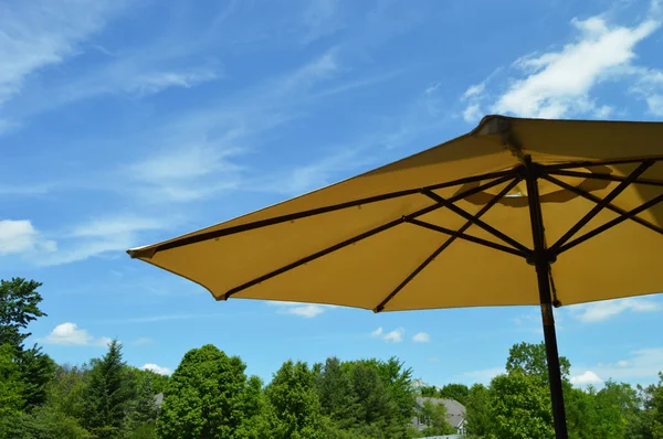 Patio Umbrella in Summer