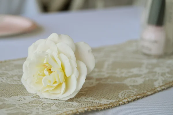 Çuval bezi ve dantel tek beyaz gül