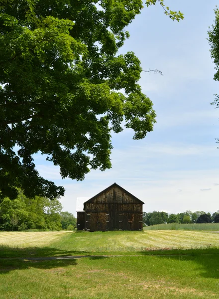 Barna pajta a Farm — Stock Fotó