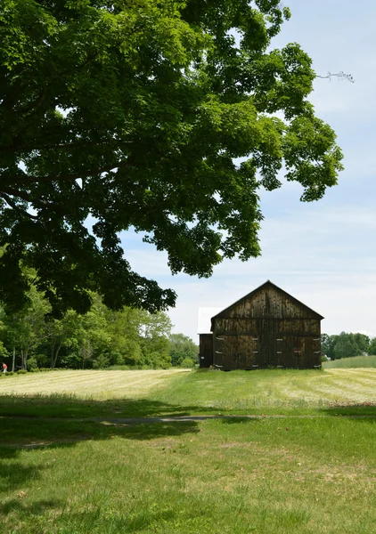 Bruna ladan i landet — Stockfoto