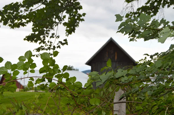 乡间农场的小木制谷仓 — 图库照片