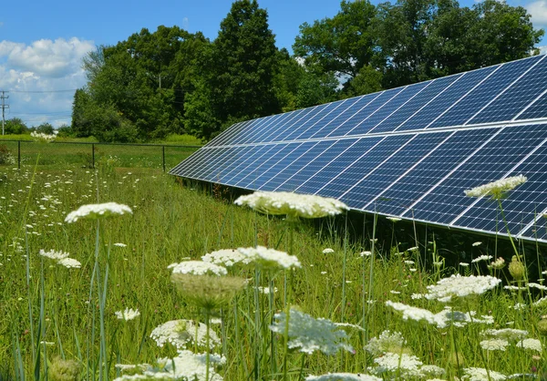 güneş panelleri alanı