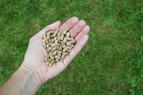 Деревянные гранулы в открытой руке — стоковое фото