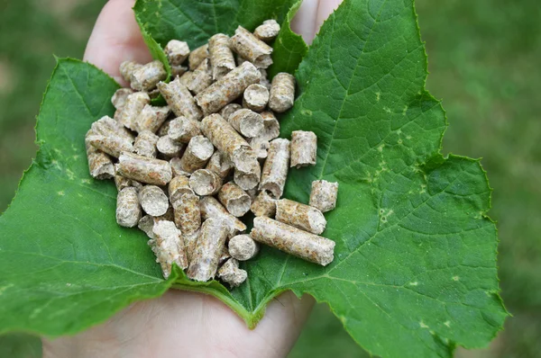 Yeşil yaprak üzerinde ahşap granül