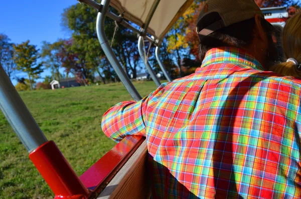 Mannen på Hayride — Stockfoto