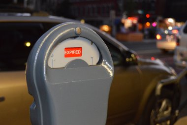 Sonbaharda renkli Bahçesi