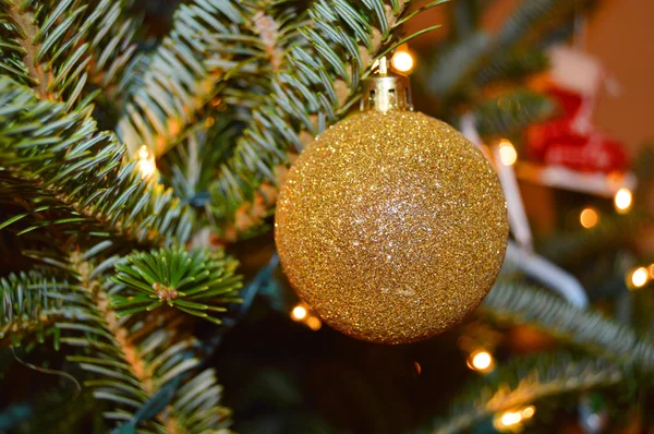Gold Ornament on Tree