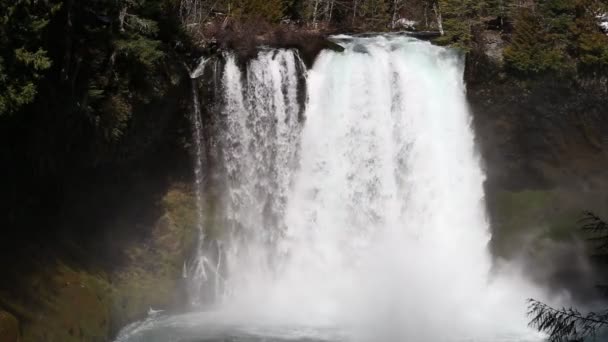 Koosah Falls on the McKenzie River — Stock Video