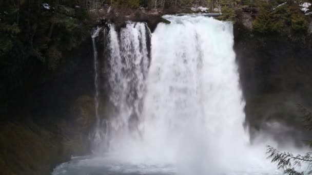 Koosah Falls na řece Mckenzie — Stock video