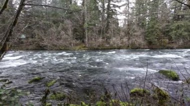 Oregon üst Mckenzie nehir Video görüntüleri