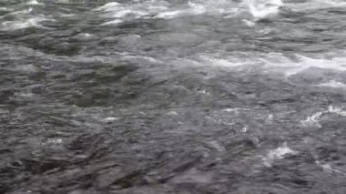 Oregon üst Mckenzie nehir Video görüntüleri