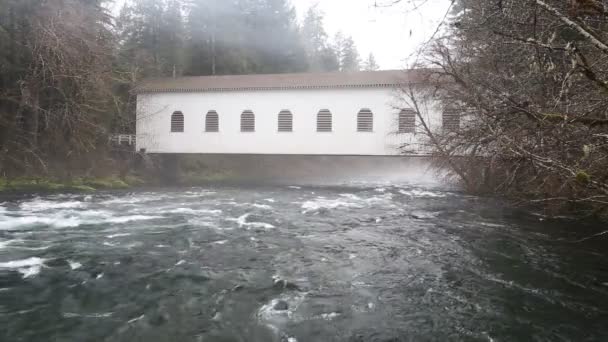 Filmación de vídeo de Upper McKenzie River en Oregon — Vídeos de Stock