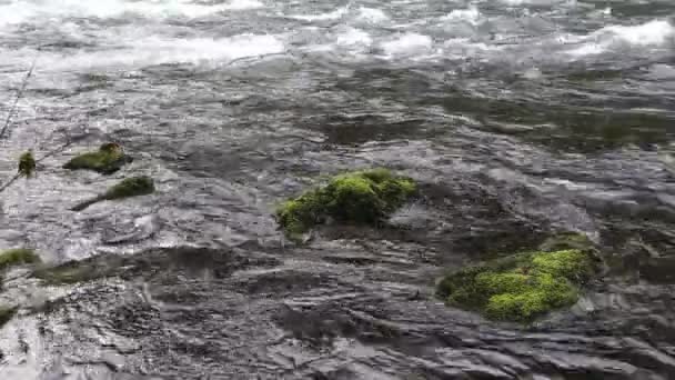 Filmación de vídeo de Upper McKenzie River en Oregon — Vídeo de stock