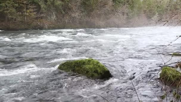 Vídeo Filmagem do Upper McKenzie River em Oregon — Vídeo de Stock