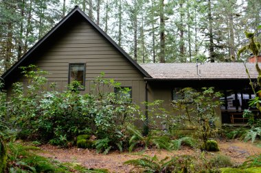 Vahşi doğada tatil kabin ormandaki