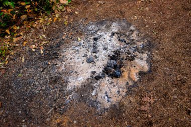 Kamp ateşi kalır ve orman kül