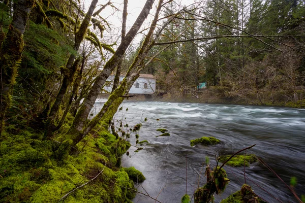 Historic Belknap Bridge McKenzie River — Stock Photo, Image