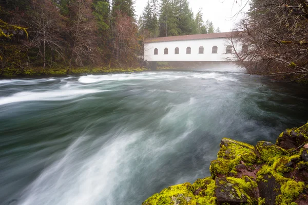 Historic Belknap Bridge McKenzie River — Stock Photo, Image