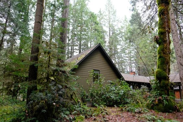 Cabaña de vacaciones en el bosque — Foto de Stock