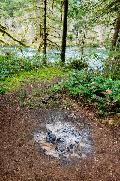 Fogueira permanece e cinza na floresta — Fotografia de Stock