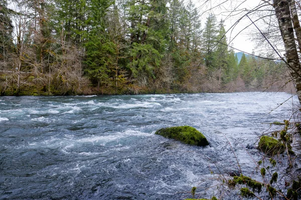 McKenzie floden i Oregon — Stockfoto