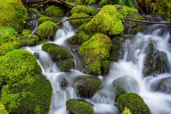 Small Creek Cascade Waterfall — Stock Photo, Image