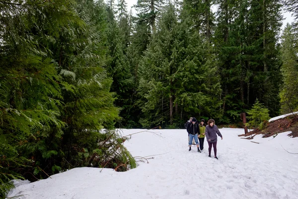 Sneeuw wandeling met familie — Stockfoto